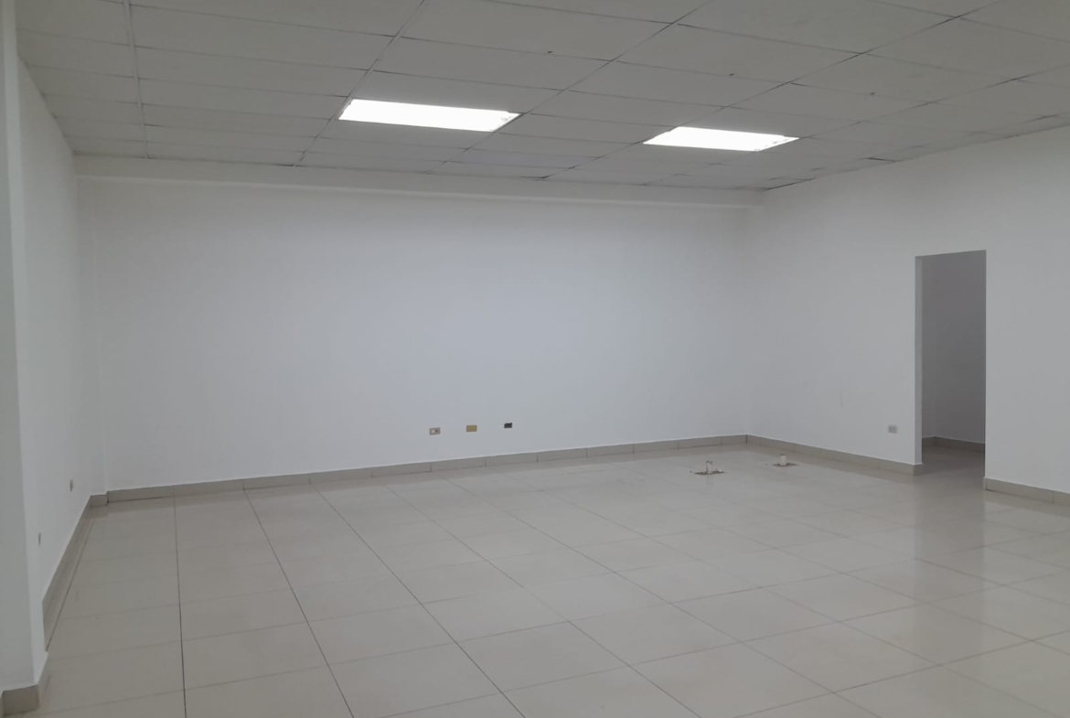 Local Comercial en Renta en Plaza Murano